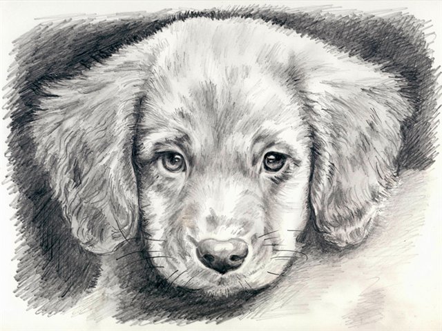 Как нарисовать упал Как нарисовать упал